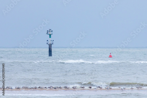kite surfing on the beach
