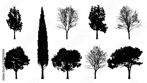 tree silhouettes a horizontal row of various tree shapes against a white background