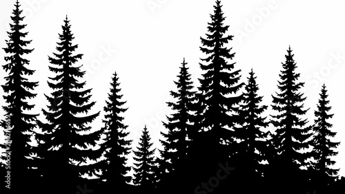 forest silhouette a solid black silhouette of coniferous trees against a white background