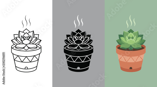 Cuadro en lienzo Succulent Plants in Different Stages of Illustration