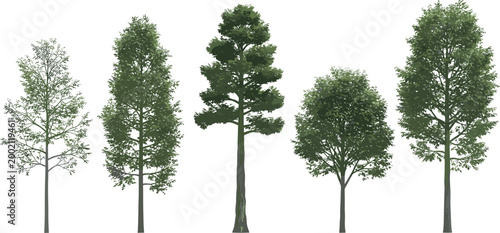 Billede på lærred Set of 5 Detailed Tree Illustrations in Various Shapes and Styles, Perfect for N