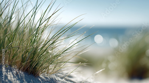 Beach grass growing on sandy dunes with soft ocean waves in the background under bright sunlight.