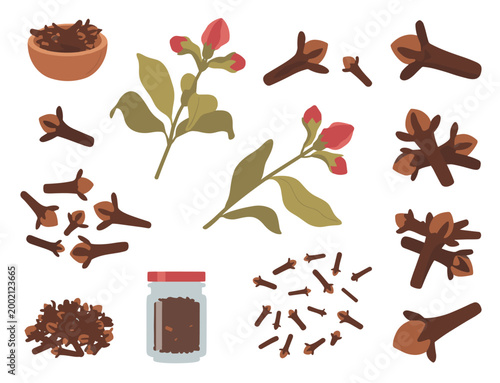 Clove spice with branches and in a jar herb seasoning