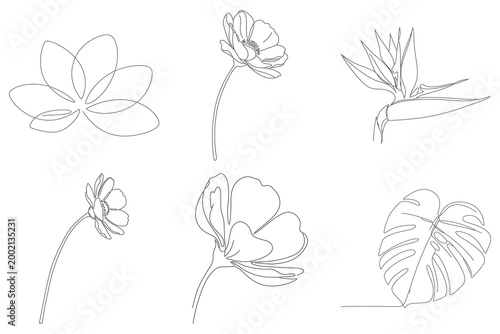 Elegant one line art collection showing blooming jasmine flowers bird of paradise plant and monstera leaf for creative graphic design projects.