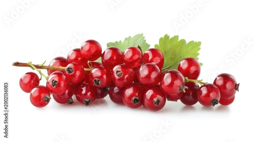 Red currant isolated on white background, fresh ripe red berries with full depth of field, detailed macro composition, natural food texture, clean studio shot, organic fruit close-up for design use