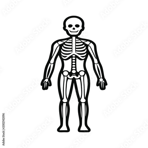 Full Body Anatomy Outline Vector