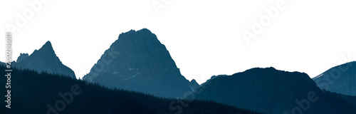 Panorama of blue mountain ranges with a dense forest in the foreground, atmospheric depth and soft natural tones blending into a transparent sky.