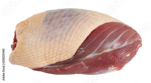 Raw piece of fresh turkey breast meat with skin isolated on a white background, for food industry