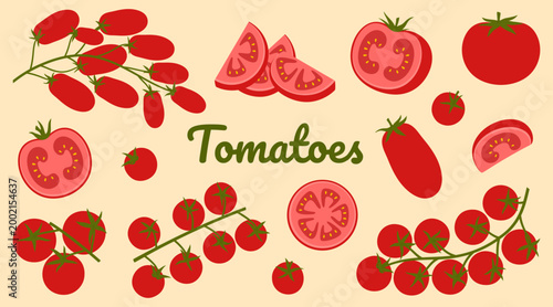Vector collection of red whole tomatoes, slices and cut pieces, cherry tomatoes on beige background. Fresh vegetable set for menu, packaging, kitchen decor and food design.