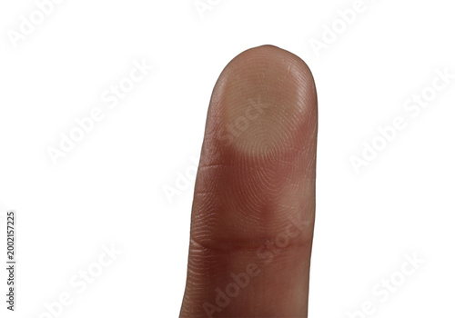 Fotografie Human index finger fingertip close up, fingerprint texture isolated on transpare
