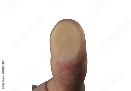 Slika na platnu Human thumb fingerprint close up, fingertip skin texture isolated on transparent