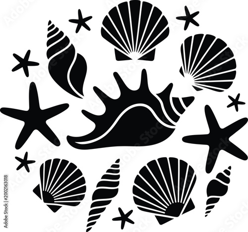 A Beautiful Collection of Seashell and Starfish Silhouettes