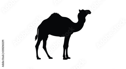 camel silhouette standing profile black white background high quality professional detailed modern elegant stylish clean crisp vibrant colorful digital creative innovative