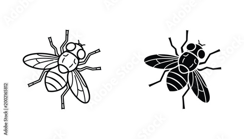 Fly insect icon outline and solid silhouette on white background for pest control and biology themes