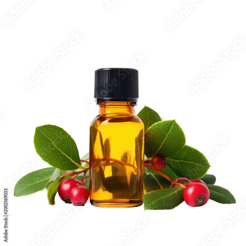 Wintergreen oil bottle with fresh leaves and red berries, isolated on transparent background PNG element