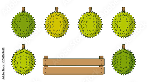 Vibrant illustration of multiple spiky durian fruits arranged around a rustic wooden crate displayed on a clean white background surface
