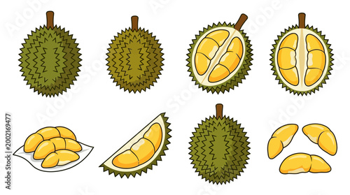 Colorful illustrations depict the entire durian fruit along with its various stages of being opened, showing the delicious yellow flesh.