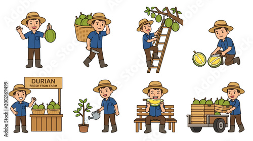 Cartoon farmer characters set performing various agricultural activities related to the cultivation and harvesting of organic fresh tropical durian fruits