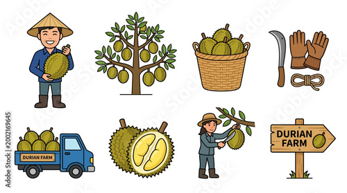 Friendly farmers harvesting ripe tropical durian fruit and transporting them by truck for sale at the local community organic market