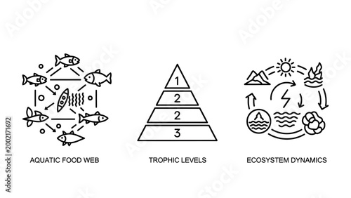 Aquatic food web trophic levels ecosystem symbols with food chain energy transfer water cycle line art ecosystem illustration environment plankton sustainability hierarchy natural resources