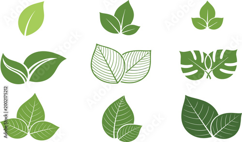 Leaf Vector Set Featuring Various Leaf Shapes, Organic Designs, and Nature-Inspired Symbols for Digital Design.