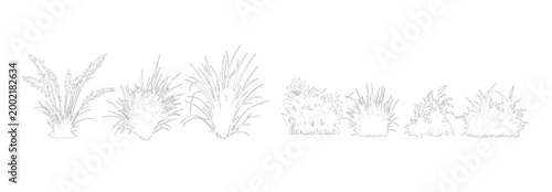Tree Vector Set for Architectural Drawings, Elevation View Landscape Trees Collection