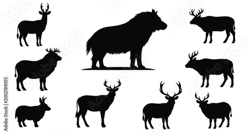 collection of deer and elk silhouettes high quality professional detailed modern