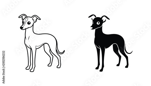 Italian greyhound dog icon in outline and solid black silhouette styles for pet care and veterinary clinic graphic design