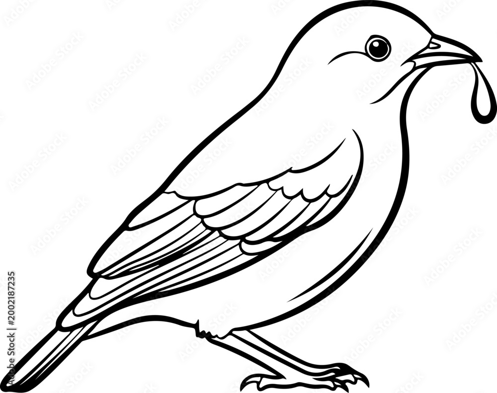 Obraz premium Bowerbird silhouette vector illustration