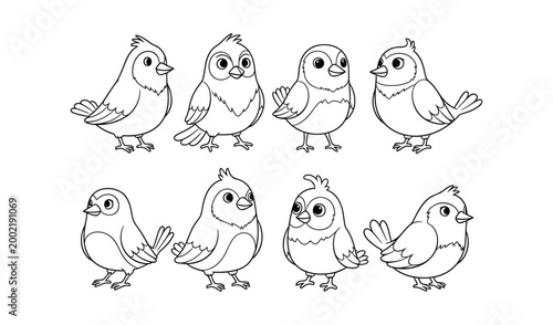A set of eight cartoon birds in various poses