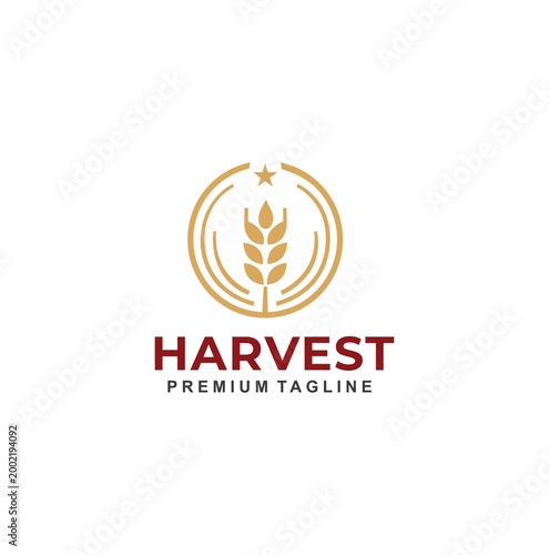 Professional modern agriculture harvest logo with gold wheat ear.