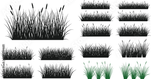 Collection of grass and reed silhouettes with green variations isolated on white background for landscaping and natural design