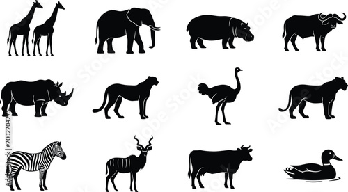 Wild animal silhouette set featuring giraffe elephant rhino lion zebra ostrich buffalo and antelope for wildlife design