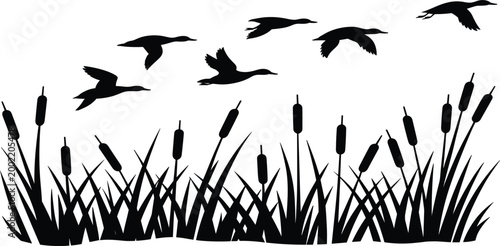Silhouette of Ducks Flying Over Reeds and Cattails in a Marsh flying ducks duck silhouette