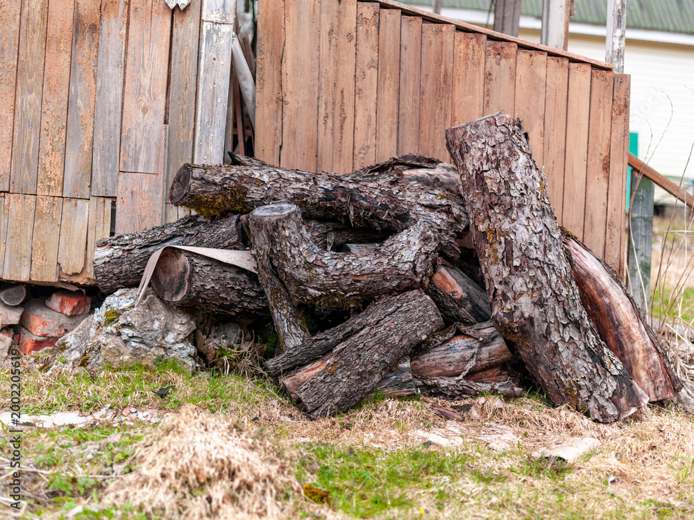 Fototapeta premium pile of cut tree trunks