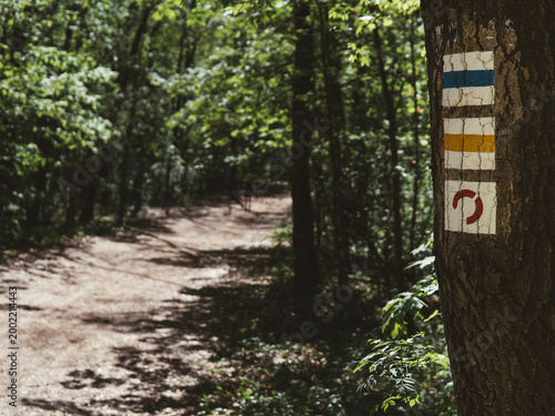 Hiking trail markers in lush green forest path vintage look
