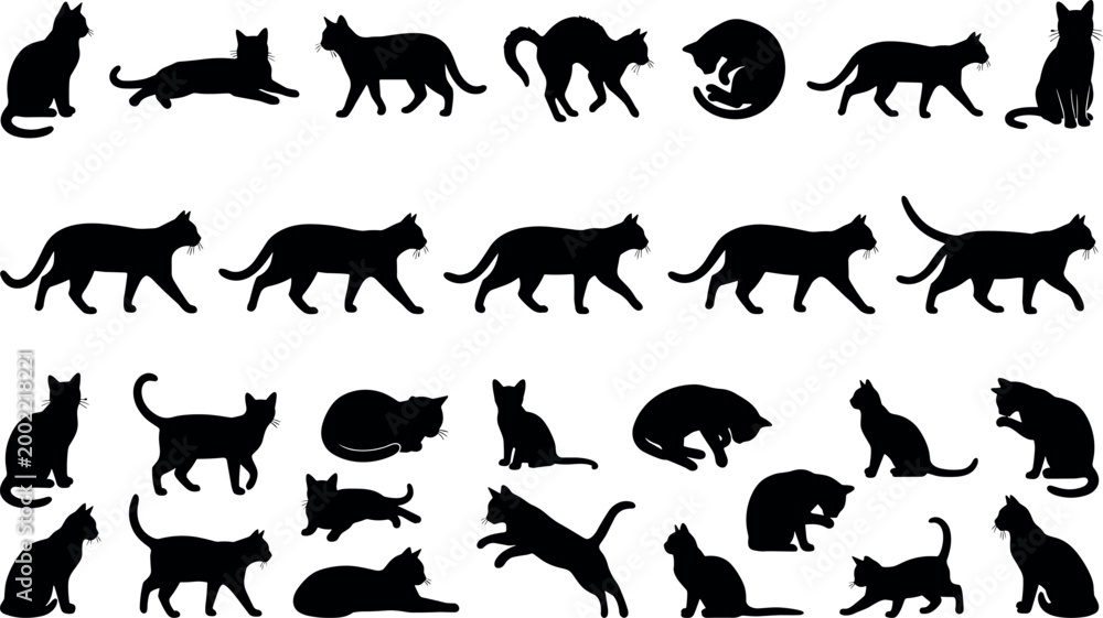 Obraz premium Large collection of domestic cat silhouettes featuring various poses including walking jumping sleeping and grooming for pet design projectsLarge collection of domestic cat silhouettes featuring va