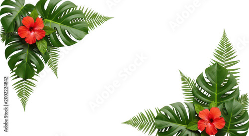 Tropical Hibiscus Flowers with Palm Leaves Corners on White Background