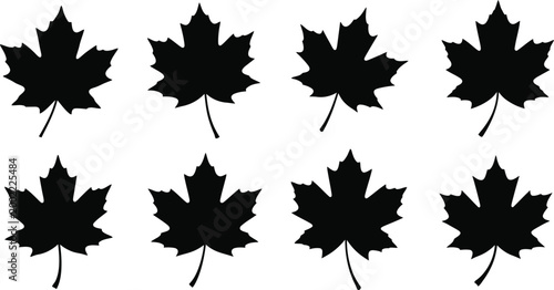 Maple leaf silhouettes a collection of autumnal black shapes
