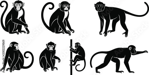 Monkey Silhouette Collection with Different Poses and Movements in Black Vector Set for Wildlife Animal Illustration Nature Design and Graphic Elements