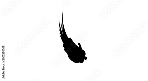 Tableau sur toile Black silhouette of a falling person or skydiver in a free fall motion