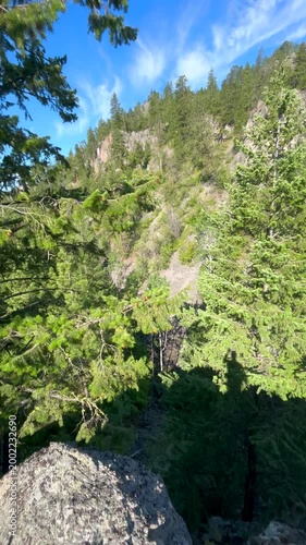 Mountain and trees on a sunny day in vertical format.
