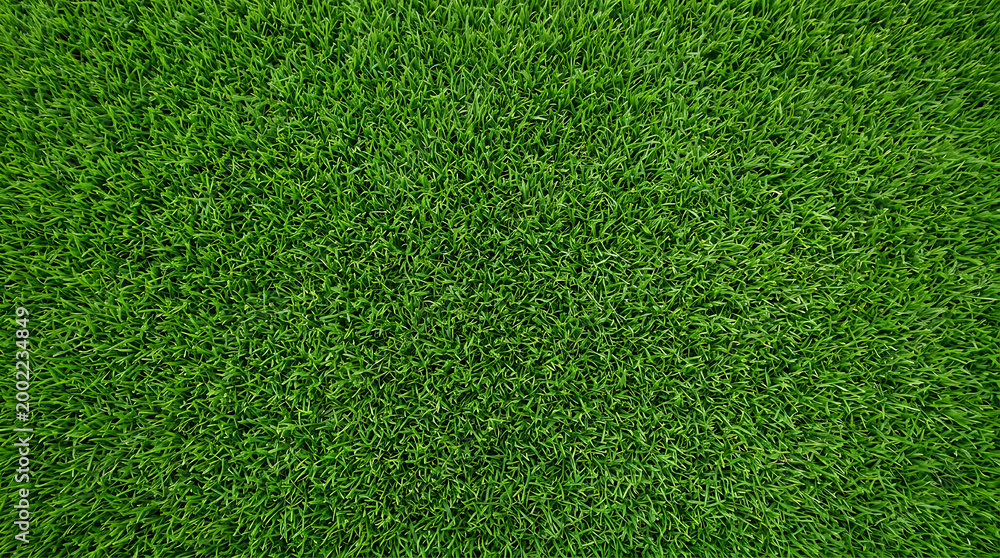 Obraz premium Vibrant green grass texture, perfect for natural backgrounds and design elements