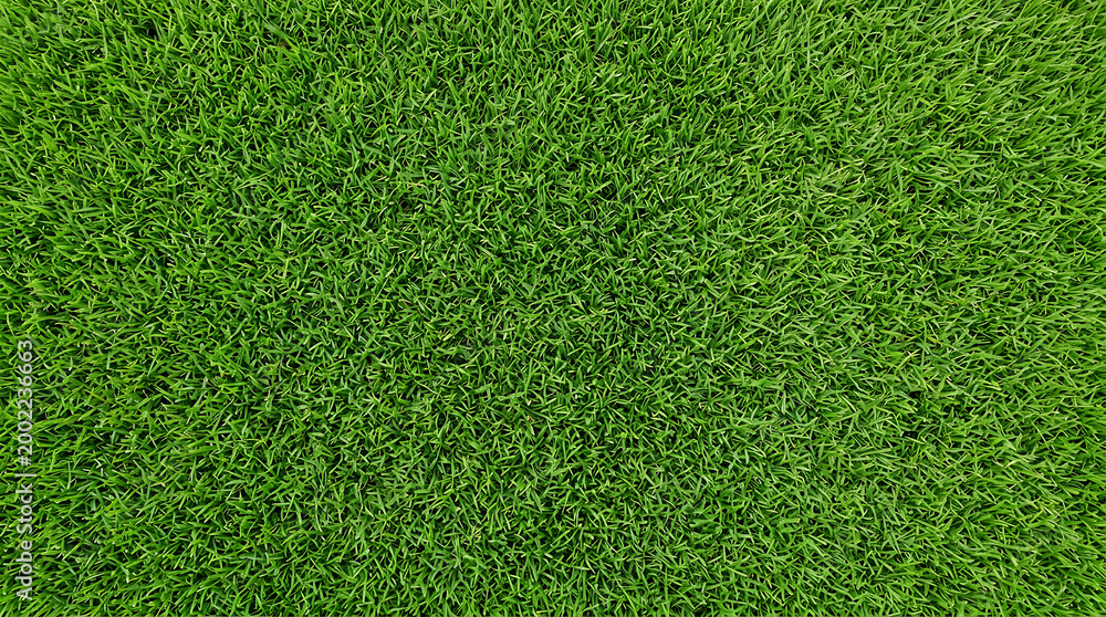 Obraz premium Lush, Fresh Green Grass Texture Viewed from Above, Ideal as a Natural Background