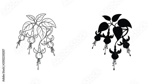 Φωτογραφία Fuchsia flower hanging plant icon set with intricate botanical details in line a