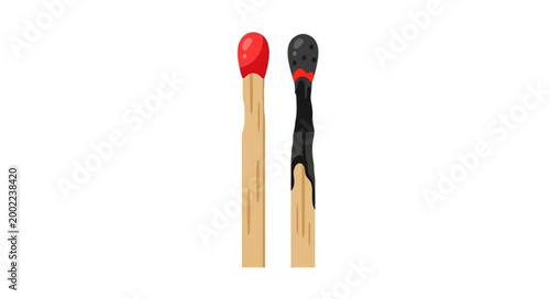 Two Matches One Unused One Burnt.