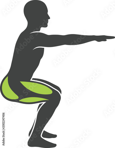 Vector illustration of a man performing a squat exercise with highlighted muscles