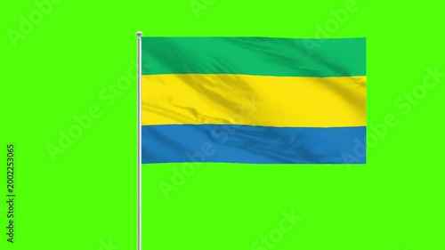 Gabon Flag: The national flag of Gabon, a symbol of identity, waving proudly against a vibrant backdrop, representing the spirit and heritage of the nation.