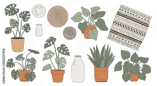 Collection of potted houseplants woven coasters and a fringed rug monstera potted plant green