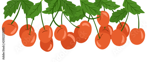 Illustration features clusters of ripe red cherries with green leaves, highlighting their glossy appearance and natural details on a clean white background